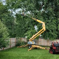 Artificial Turf Installation in Sun Prairie, WI